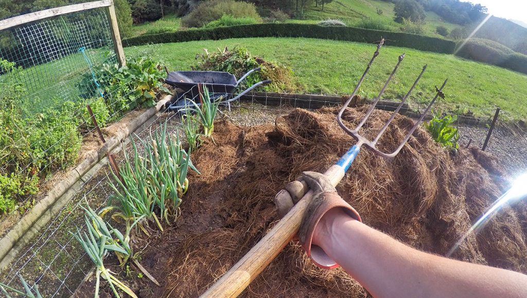 Le wwoofing en Nouvelle-Zélande