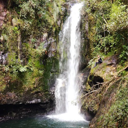 Kaiate Falls - Tauranga