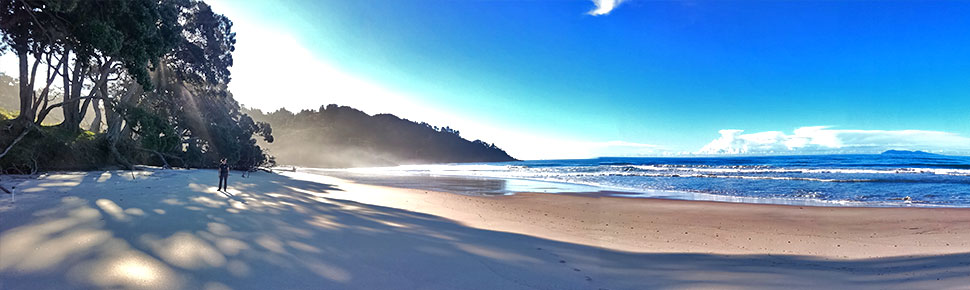 Orokawa bay - Coromandel