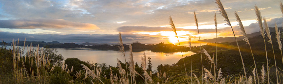 Coromandel town