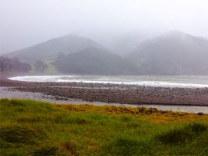 Stony bay - Coromandel