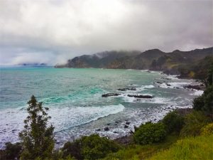 Tuateawa - Coromandel