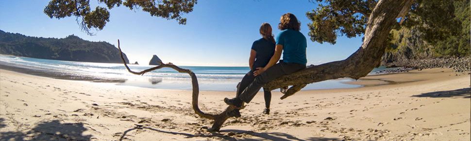 New chums beach - Coromandel