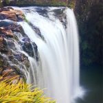 Whangarei falls- northland