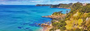 Tutukaka coast
