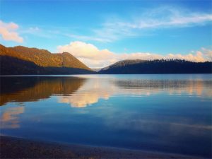 Blue lake - Rotorua
