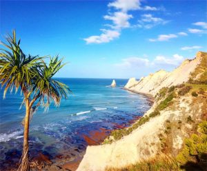 Cape kidnappers