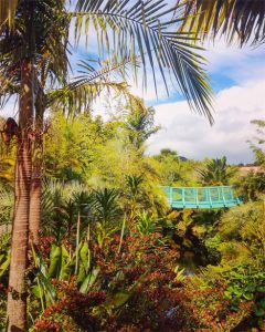 Hamilton gardens