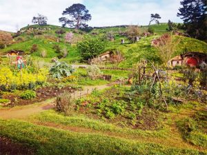 Hobbiton