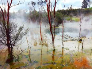 Kuirau park - Rotorua