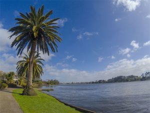 Lake Rotoroa