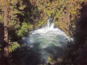 Okere falls - Rotorua