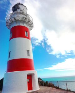 Cape palliser_wellington