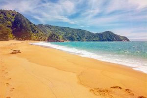 Abel Tasman