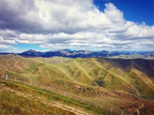 Blenheim- Marlborough