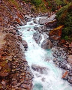 Haast_gates_west_coast