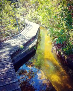 Hydro walkway - Tasman