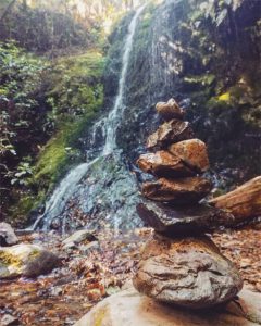 Pelorus bridge - Marlborough