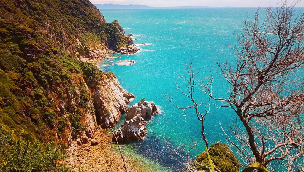 Tasman