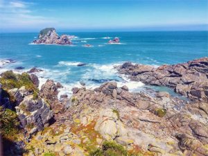 Tauranga_bay_west_coast