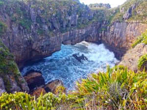 blowhole_west_coast