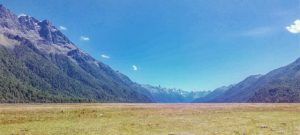 Eglington-valley_fiordland