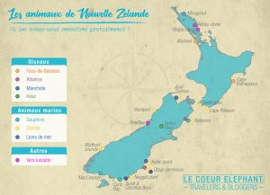 Animaux-NZ