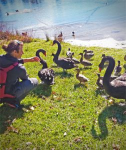 oiseaux_animaux