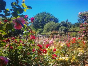 queenspark_southland