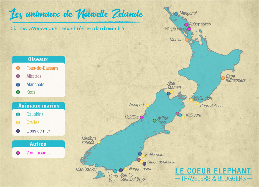 Animaux-NZ