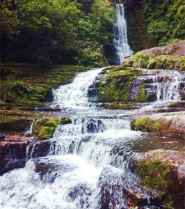 Mc-lean-falls_Catlins