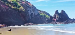 Allans-beach_peninsule_otago