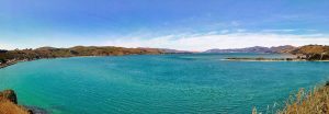 Portobello_peninsule_otago