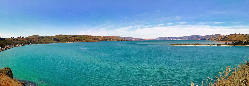 Portobello_peninsule_otago