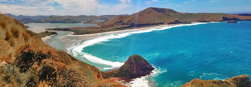Sandymount_peninsule_otago