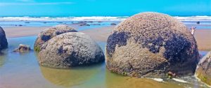 Moeraki_dunedin
