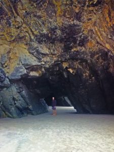 natural_cove_Dunedin
