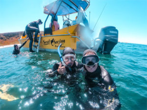 Activities_Kaikoura