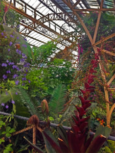 Botanical_Christchurch