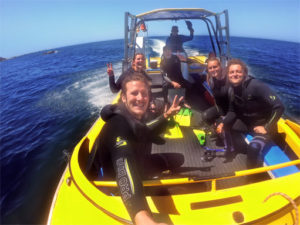 Sealswim_team_Kaikoura