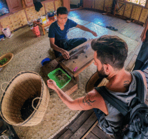Inle_lotus