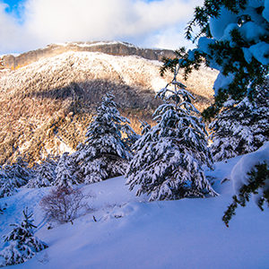 montagne_céüse